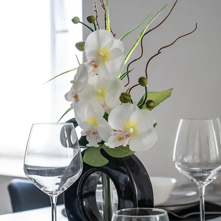 Le 4midable - Chaleureux 2 Pieces 布格奈斯